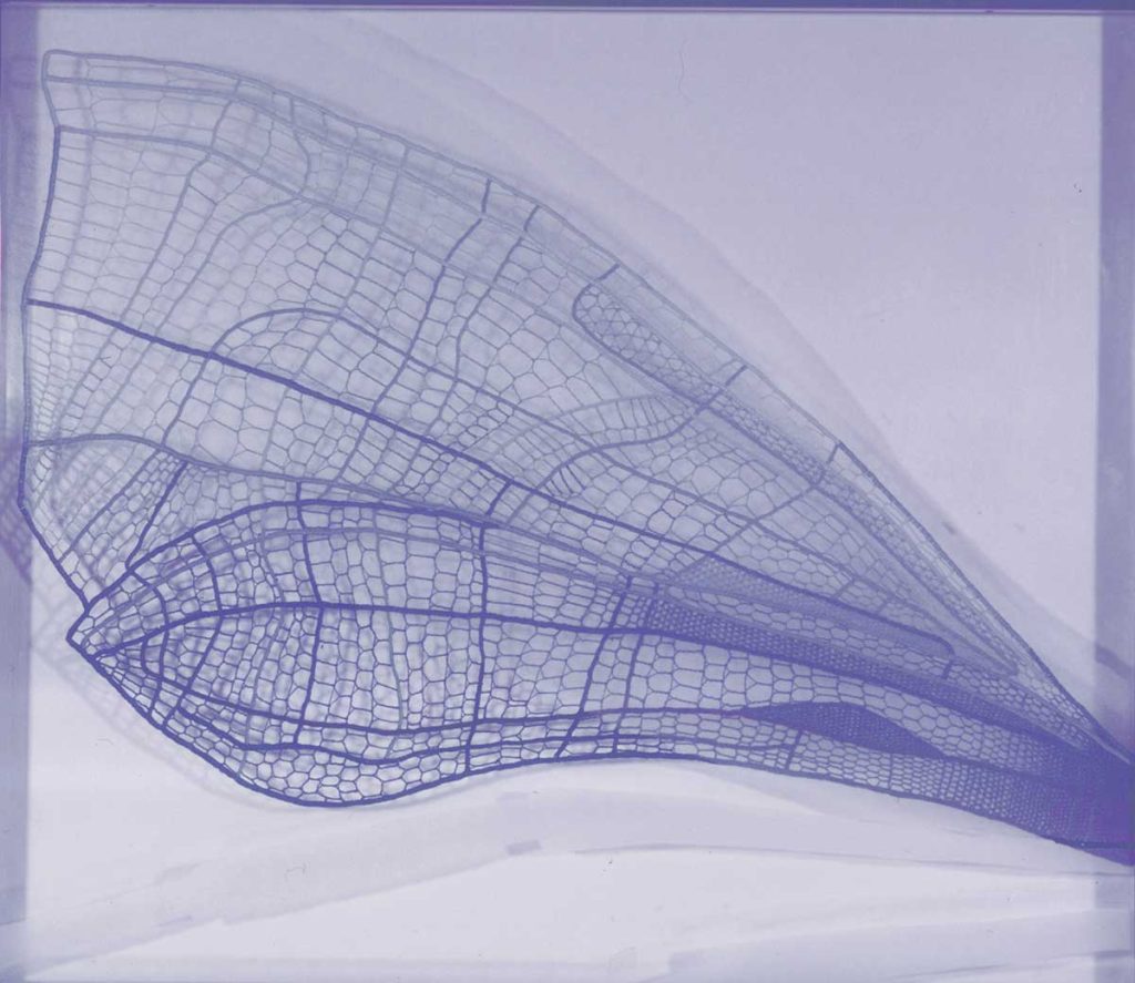 Křídlo, příze, sklo, kov, 71×62,5 cm, 1993